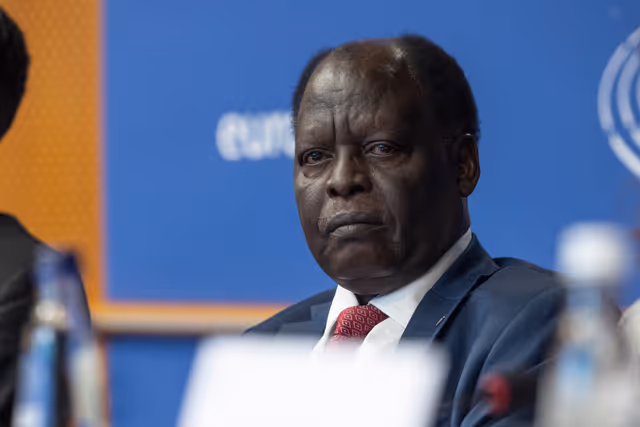 Billede 15: DROI/DEVE - Public Hearing on the human rights situation in Sudan and the EU Strategy