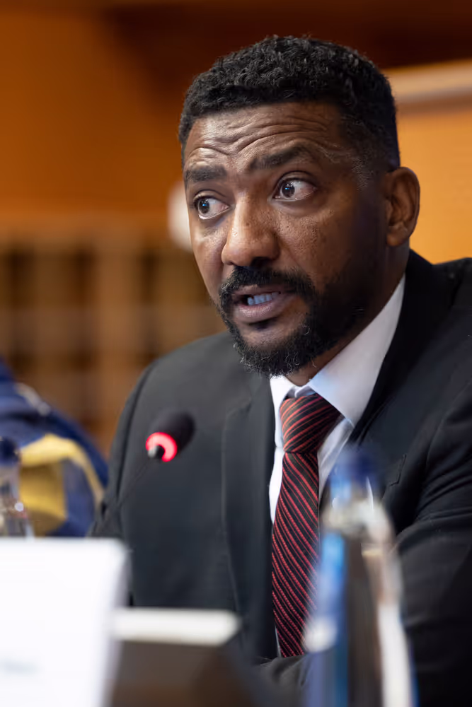 DROI/DEVE - Public Hearing on the human rights situation in Sudan and the EU Strategy