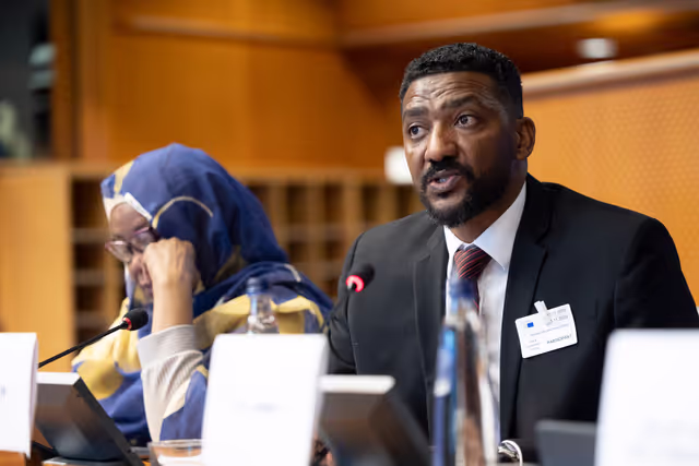 Billede 11: DROI/DEVE - Public Hearing on the human rights situation in Sudan and the EU Strategy