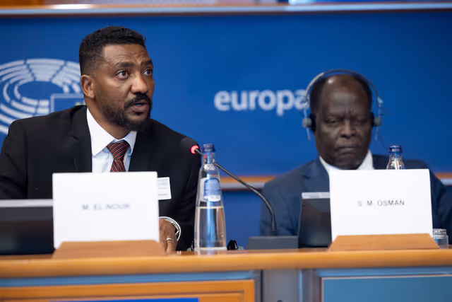 Billede 9: DROI/DEVE - Public Hearing on the human rights situation in Sudan and the EU Strategy