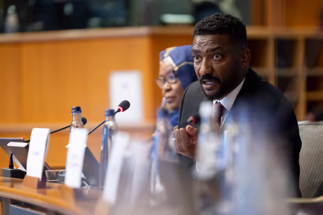 DROI/DEVE - Public Hearing on the human rights situation in Sudan and the EU Strategy