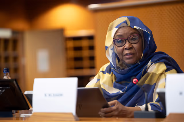 DROI/DEVE - Public Hearing on the human rights situation in Sudan and the EU Strategy