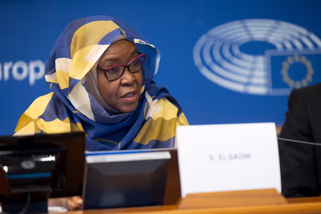 DROI/DEVE - Public Hearing on the human rights situation in Sudan and the EU Strategy