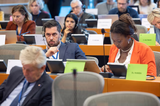 DROI/DEVE - Public Hearing on the human rights situation in Sudan and the EU Strategy