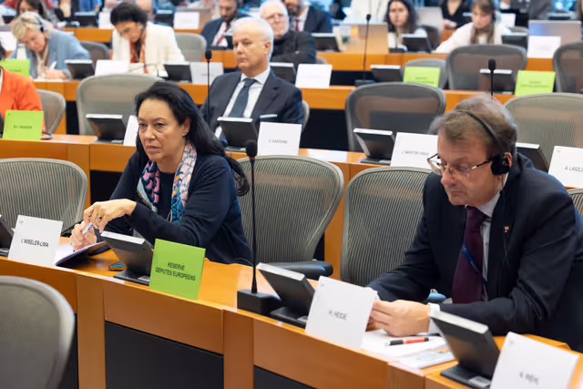 DROI/DEVE - Public Hearing on the human rights situation in Sudan and the EU Strategy