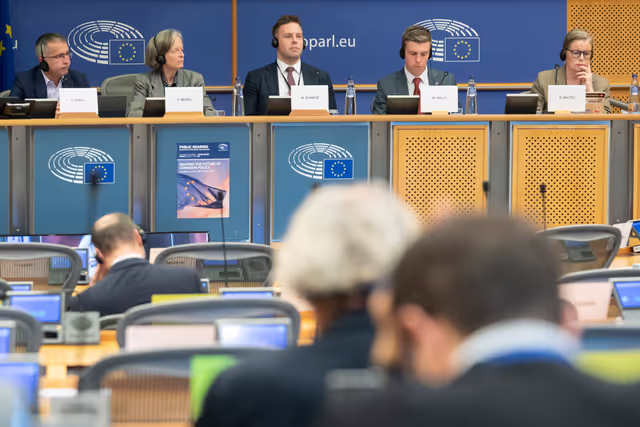 Photo 14: REGI - Public hearing on Shaping the Future of Cohesion Policy: Insights on the MFF Post-2027