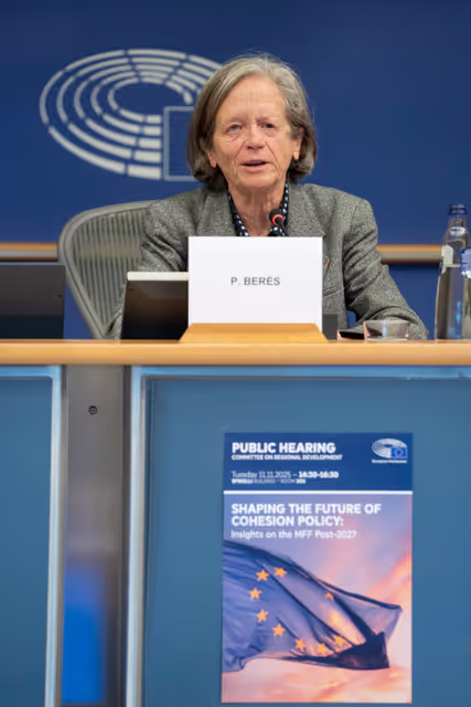 Photo 11: REGI - Public hearing on Shaping the Future of Cohesion Policy: Insights on the MFF Post-2027