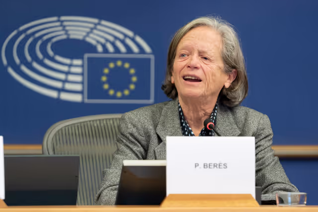 Photo 13: REGI - Public hearing on Shaping the Future of Cohesion Policy: Insights on the MFF Post-2027