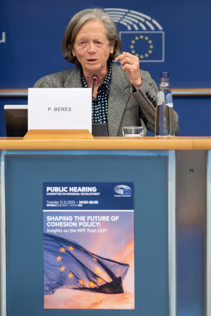 Photo 9: REGI - Public hearing on Shaping the Future of Cohesion Policy: Insights on the MFF Post-2027