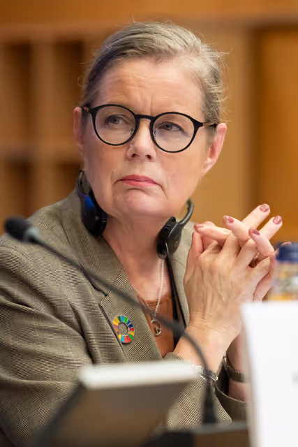 Photo 1: REGI - Public hearing on Shaping the Future of Cohesion Policy: Insights on the MFF Post-2027