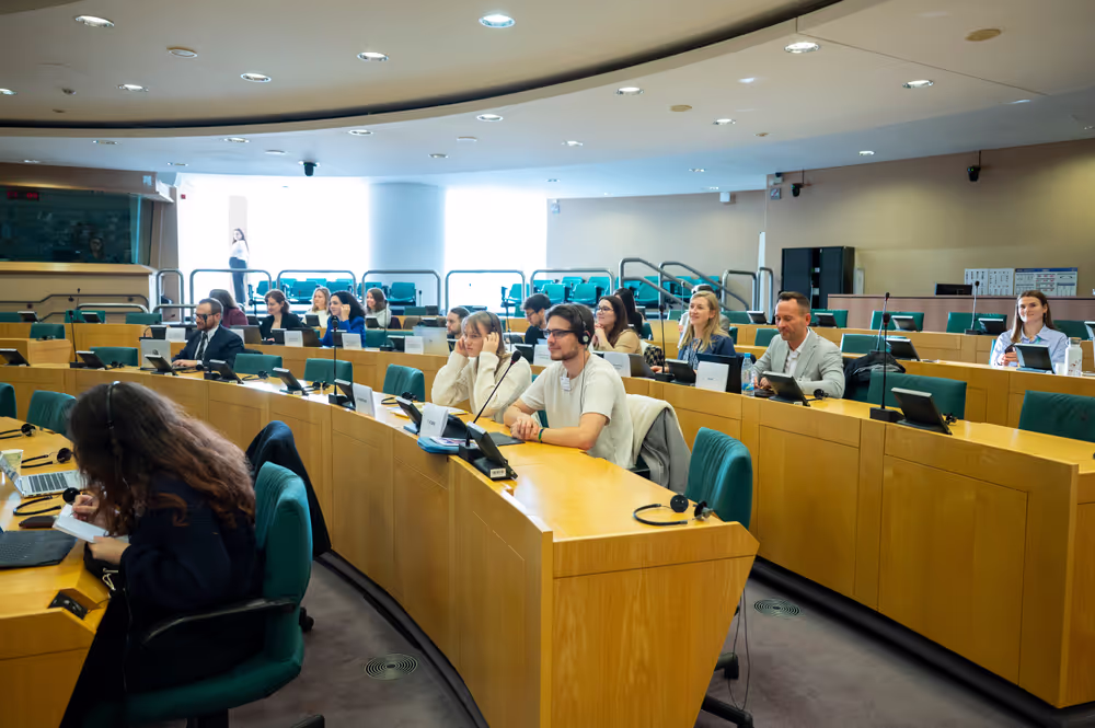 CULT - Shadow meeting on ' The EU Youth Strategy 2019-2027 '