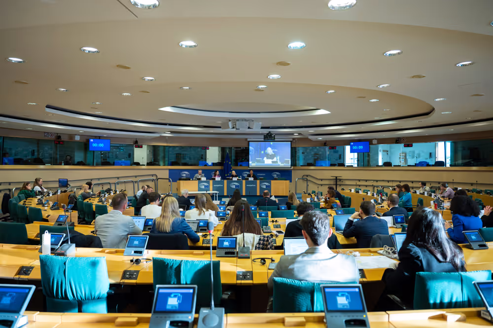 CULT - Shadow meeting on ' The EU Youth Strategy 2019-2027 '