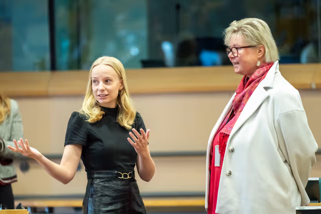 Fotografija 36: CULT - Shadow meeting on ' The EU Youth Strategy 2019-2027 '