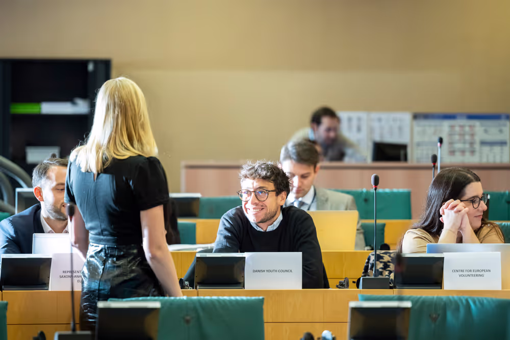 CULT - Shadow meeting on ' The EU Youth Strategy 2019-2027 '