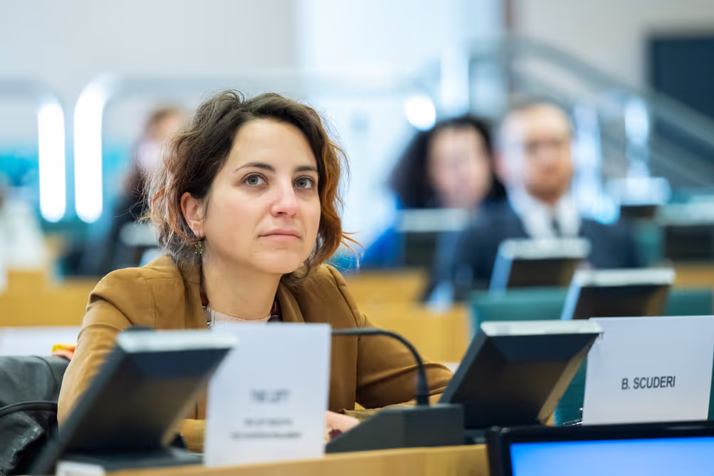 CULT - Shadow meeting on ' The EU Youth Strategy 2019-2027 '