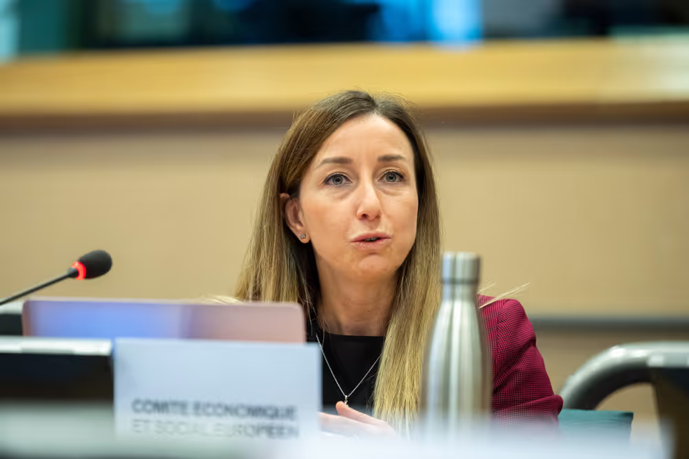 CULT - Shadow meeting on ' The EU Youth Strategy 2019-2027 '