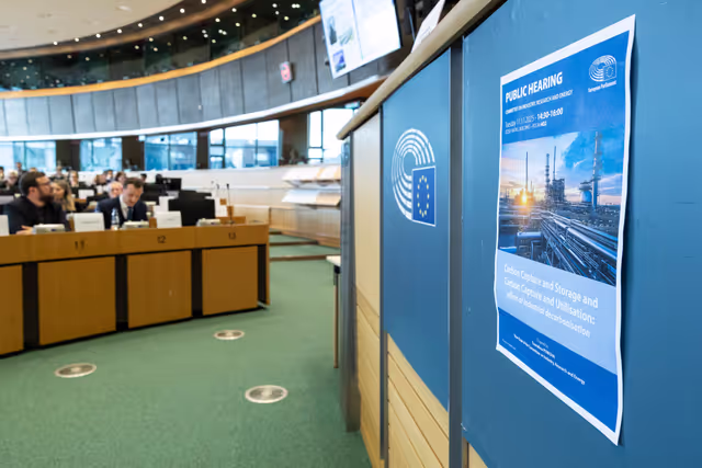 Fotografia 19: ITRE - Public hearingon Carbon Capture and Storage and Carbon Capture and Utilisation: pillars of industrial decarbonisation