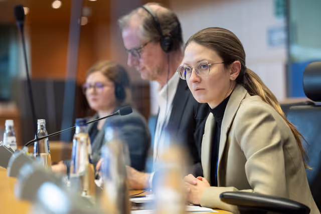 ITRE - Public hearingon Carbon Capture and Storage and Carbon Capture and Utilisation: pillars of industrial decarbonisation