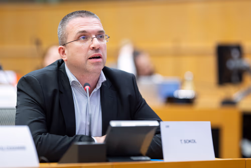 AFCO Symposium - The Quest for the Rule of Law