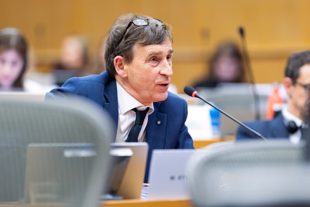 AFCO Symposium - The Quest for the Rule of Law