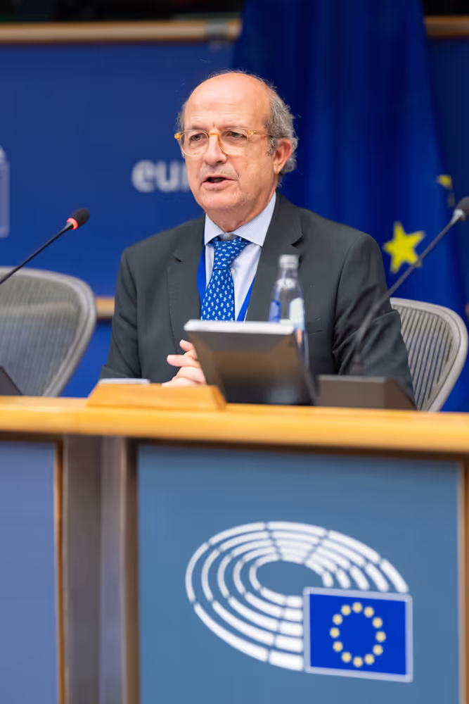 AFCO Symposium - The Quest for the Rule of Law