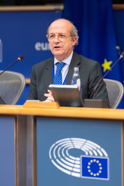 AFCO Symposium - The Quest for the Rule of Law