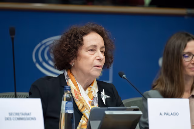 AFCO Symposium - The Quest for the Rule of Law