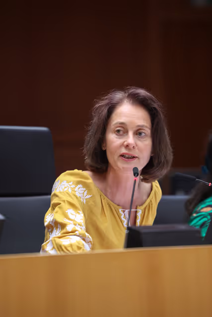 Fotogrāfija 14: EP Plenary session - The first European Annual Asylum and Migration report and the setting up of the Annual Solidarity Pool