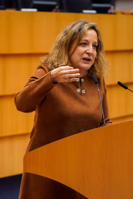 EP Plenary session - The new 2028-2034 Multiannual Financial Framework: architecture and governance