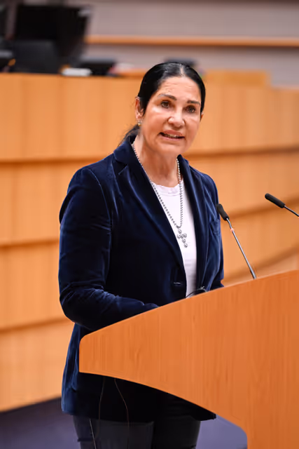 Foto 13: EP Plenary session - Gender Equality Strategy 2025