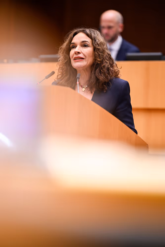 EP Plenary session - Gender Equality Strategy 2025