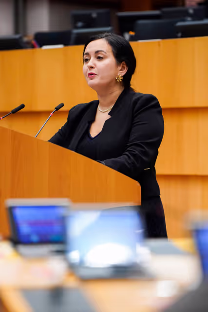 EP Plenary session - Protecting EU consumers against the practices of certain e-commerce platforms