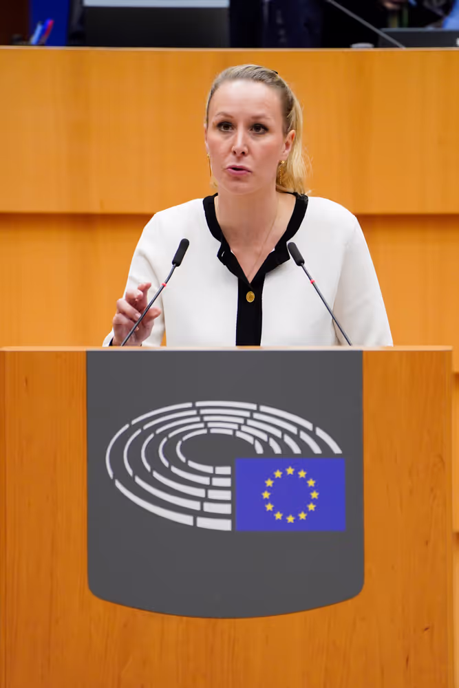 EP Plenary session - Protecting EU consumers against the practices of certain e-commerce platforms