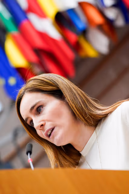 EP Plenary session - Protecting EU consumers against the practices of certain e-commerce platforms