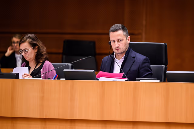 Nuotrauka 15: EP Plenary session - Short presentations of reports