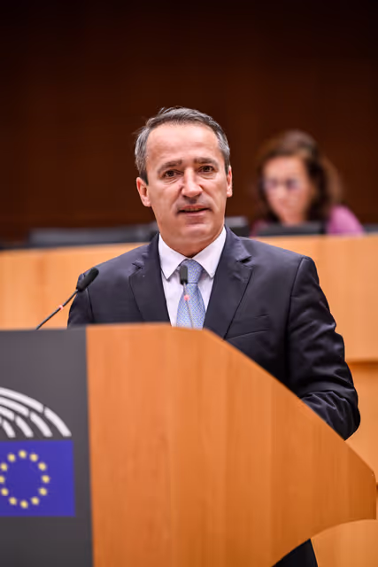 Nuotrauka 14: EP Plenary session - Short presentations of reports