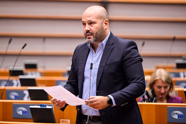 Nuotrauka 11: EP Plenary session - Short presentations of reports