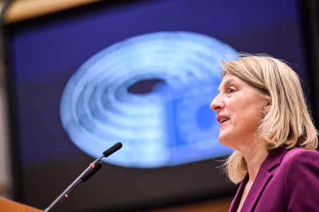 EP Plenary session - Short presentations of reports