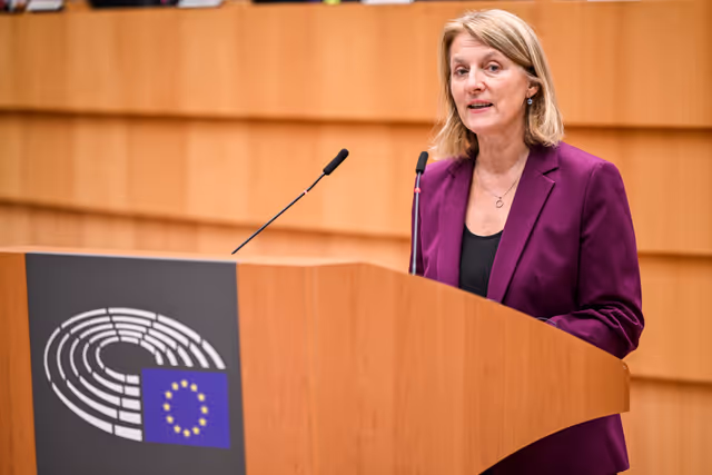 EP Plenary session - Short presentations of reports