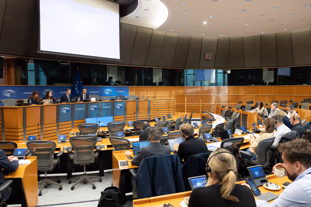 Fotagrafa 7: Press seminar for French and Hungarian journalists