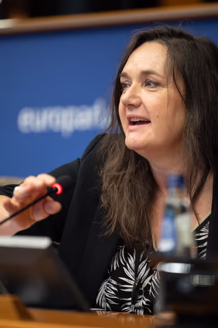 Fotagrafa 17: Press seminar for French and Hungarian journalists