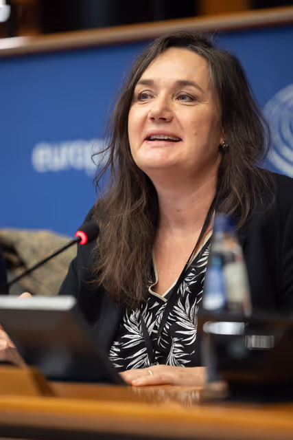 Fotagrafa 16: Press seminar for French and Hungarian journalists