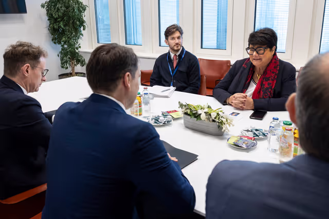 Sabine VERHEYEN meets with Sigitas MITKUS, Minister for Europe of the Republic of Lithuania