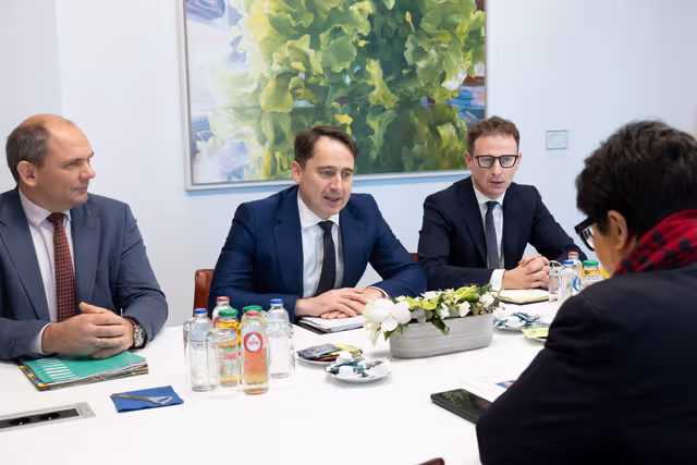 Sabine VERHEYEN meets with Sigitas MITKUS, Minister for Europe of the Republic of Lithuania