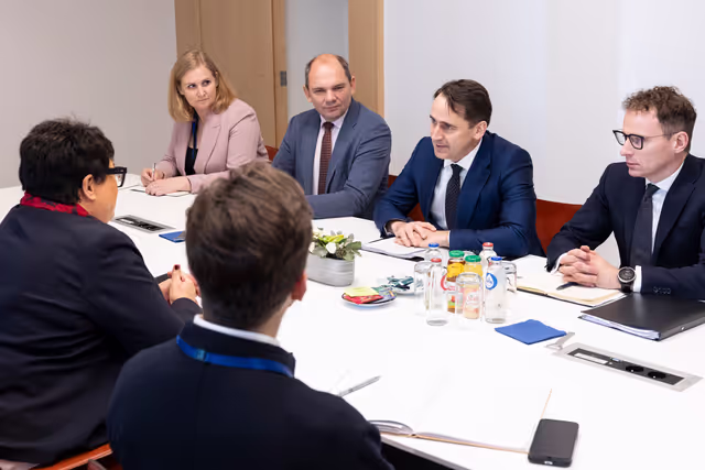 Sabine VERHEYEN meets with Sigitas MITKUS, Minister for Europe of the Republic of Lithuania