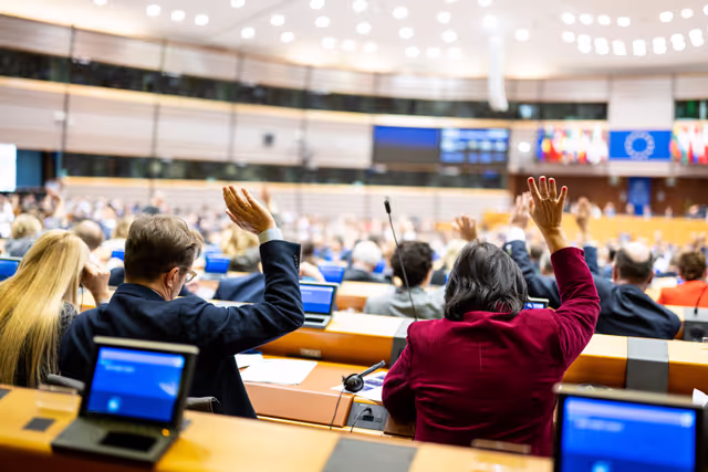 Foto 11: EP Plenary session - Voting session