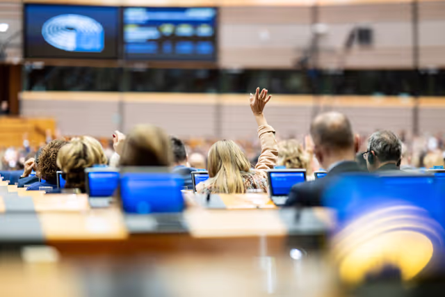 EP Plenary session - Voting session