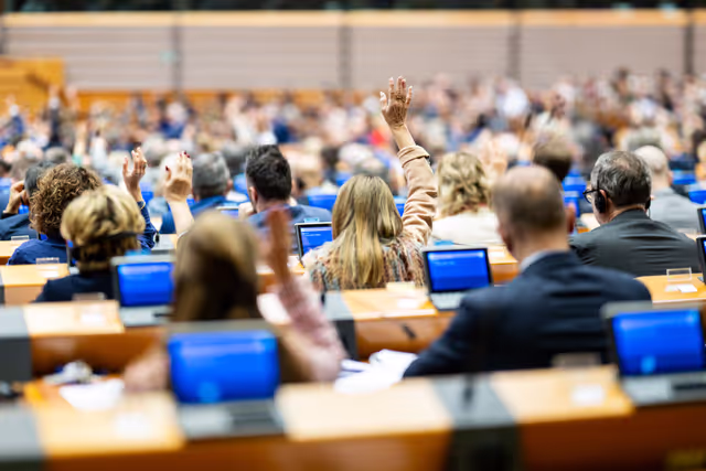 EP Plenary session - Voting session