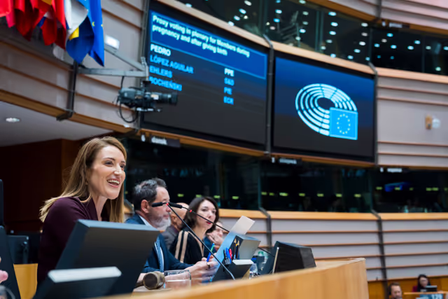 EP Plenary session - Voting session