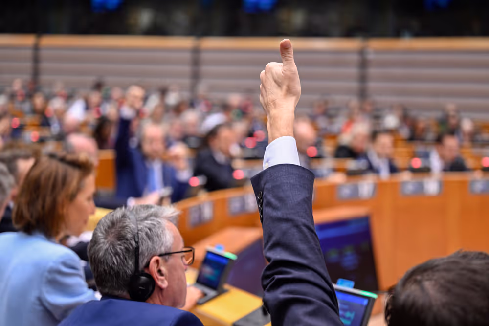 EP Plenary session - Voting session